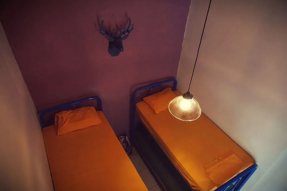 ** Hotel Blue Pepper Hostel Downtown Guadalajara Mexico