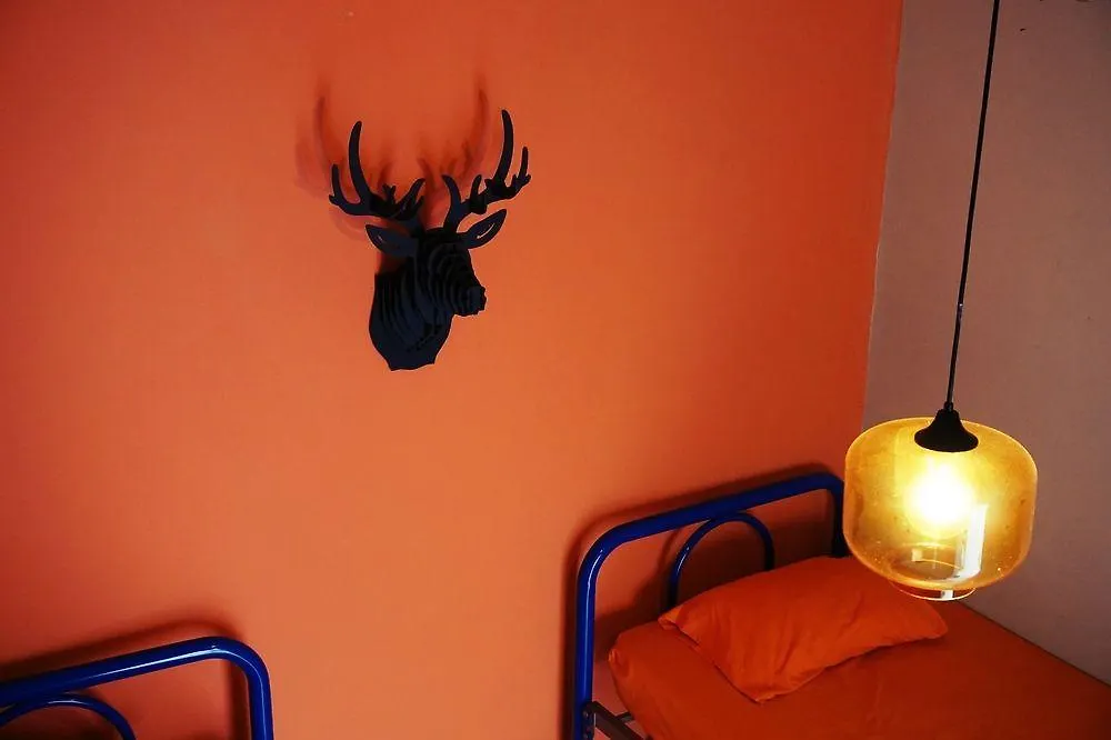 Blue Pepper Hostel Downtown Guadalajara Mexico
