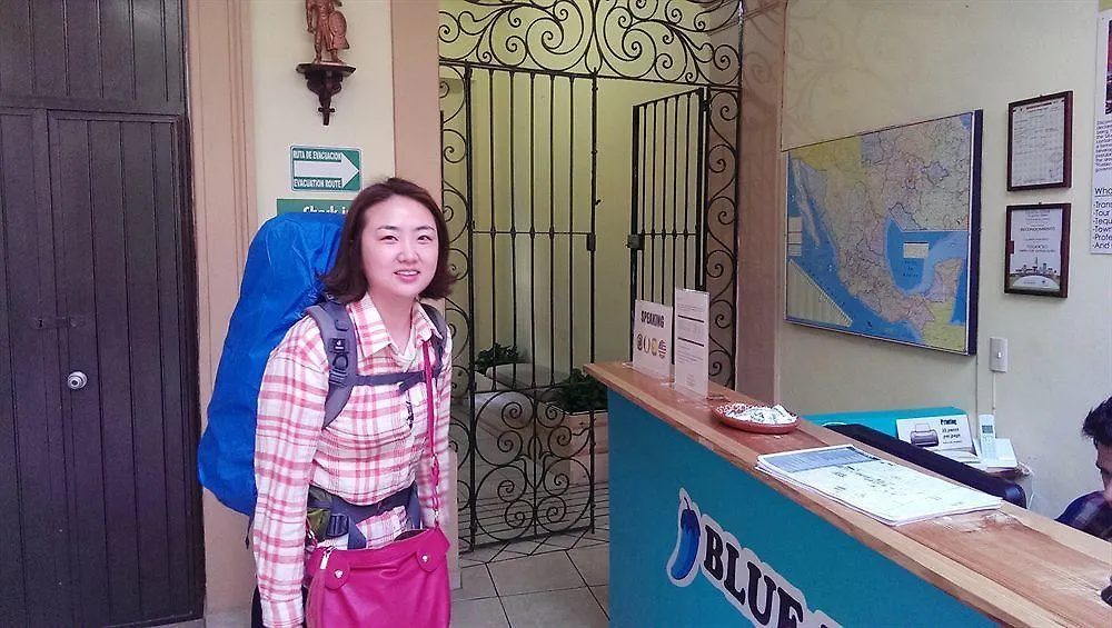 Hotel Blue Pepper Hostel Downtown Guadalajara