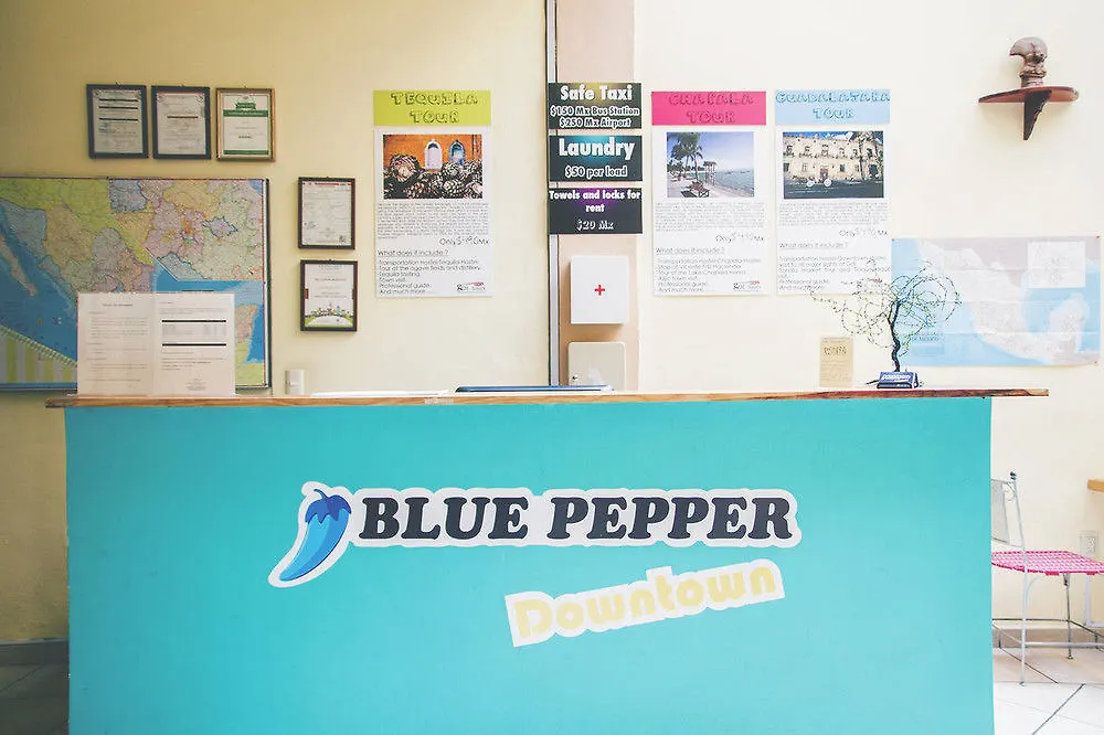 Blue Pepper Hostel Downtown Guadalajara