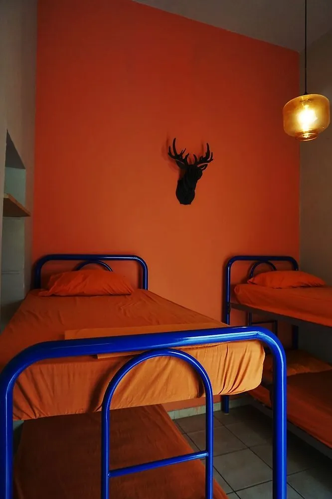 Blue Pepper Hostel Downtown Guadalajara Hotel