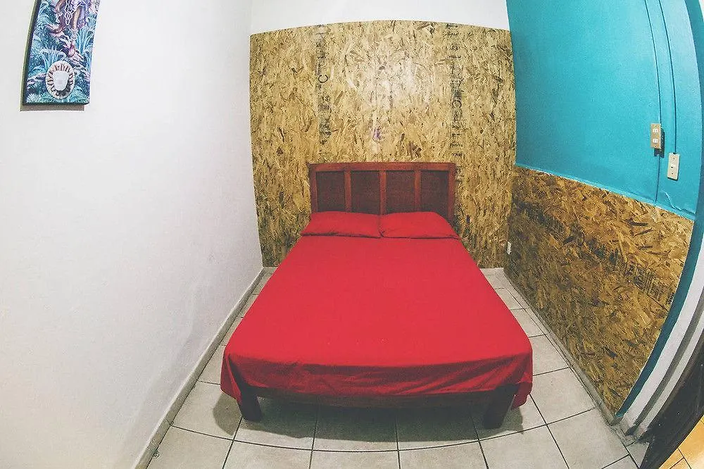 Blue Pepper Hostel Downtown Guadalajara Mexico