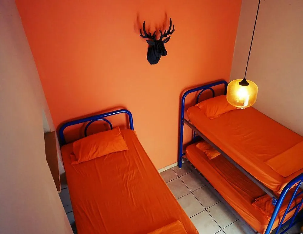 Blue Pepper Hostel Downtown Guadalajara Mexico