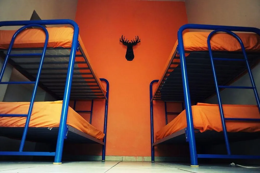 Hotel Blue Pepper Hostel Downtown Guadalajara