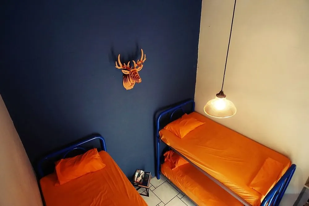 Blue Pepper Hostel Downtown Guadalajara Mexico
