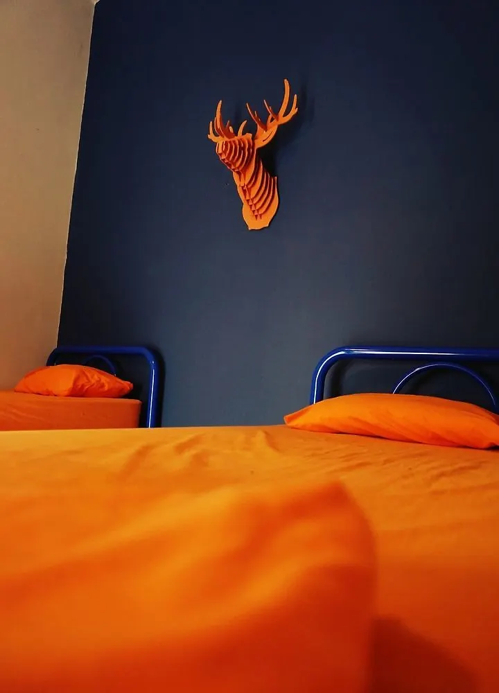 Blue Pepper Hostel Downtown Guadalajara Hotel