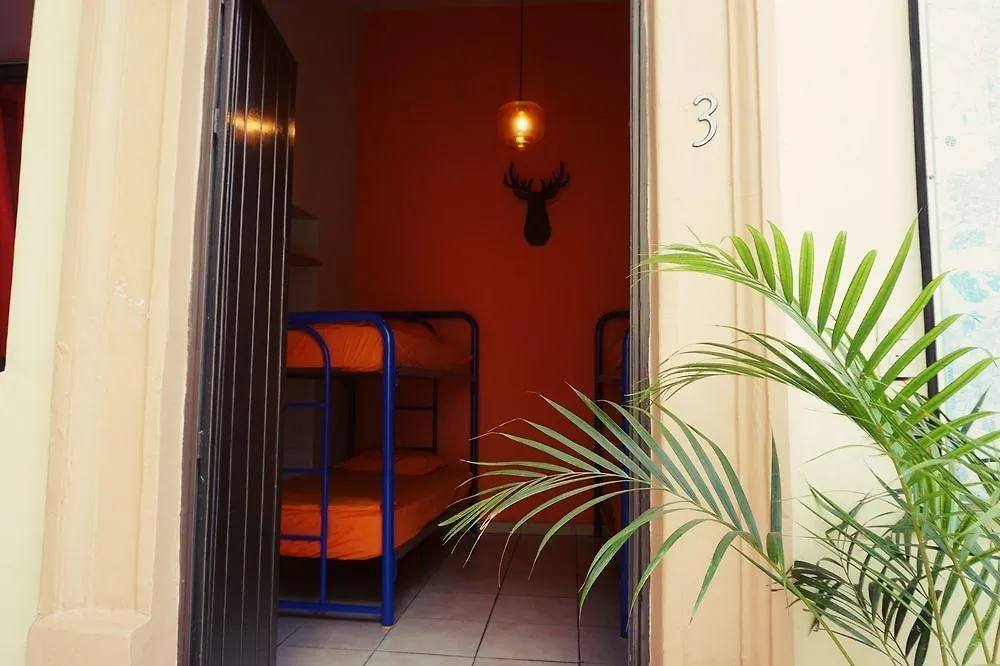Hotel Blue Pepper Hostel Downtown Guadalajara
